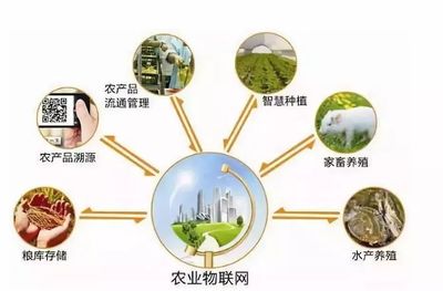 鄉村規劃設計丨中國農業十大戰略布局 風口、獨角獸與投資熱點深度解析